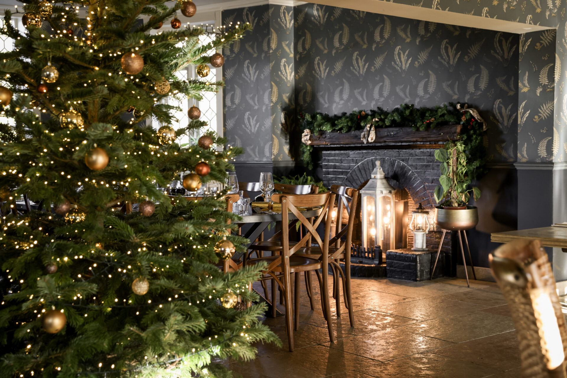 Christmas 2026 - The Kingfisher